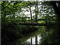 Footbridge in Sluice Wood