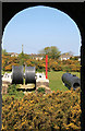 Dolcoath Mine, Wheal Harriett - winder from pumping engine house