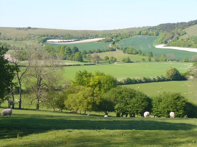 Downland West of Manor Farm