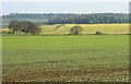 SK9942 : Arable fields, Slate House Farm, Wilsford by Simon Mortimer