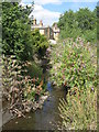 The Quaggy River west of Lee High Road, SE13 (5)