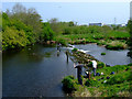 Anglers on Black Cart Water