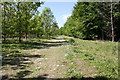 A path through Ardington and Lockinge Community Wood