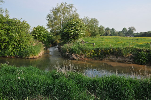 Confluence of the Ampney Brook