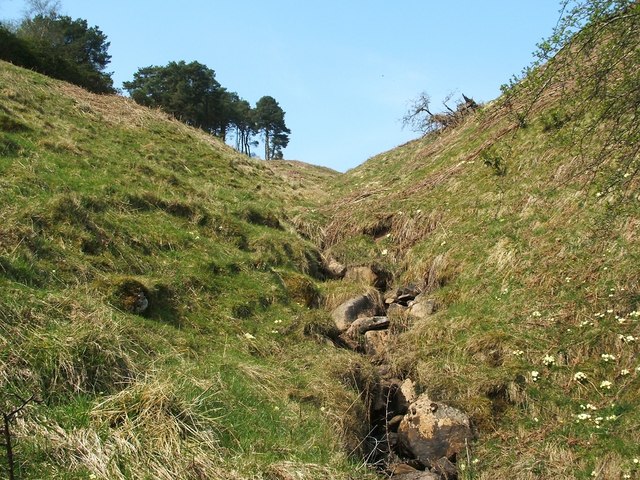 A tributary of the Overtoun Burn