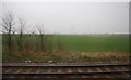 Farmland north of Biggleswade