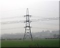 Pylon by the ECML