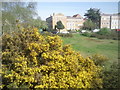 View across Vanbrugh Pits, Blackheath