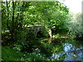 Linfold bridge again