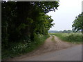 Footpath to Byng Hall