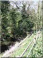 River Tean - downstream at Teanford