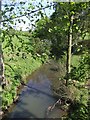 River Tean - upstream at Huntley