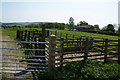 Sheepfold near Tarn House