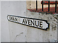 Swan(n) Avenue