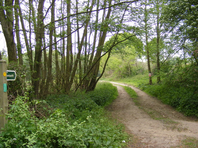 Footpath to Grove Road