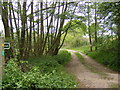 Footpath to Grove Road