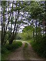 Footpath to Grove Road