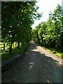 Driveway at Pallingham Lock Farm