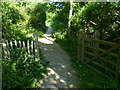 Gate on bridleway on Thorn Common