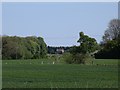 Fields and woods near Hollins Farm