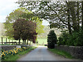 2011 : Road to Wellington Farm, East Cranmore