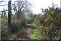 Muddy part of the Wey South Path