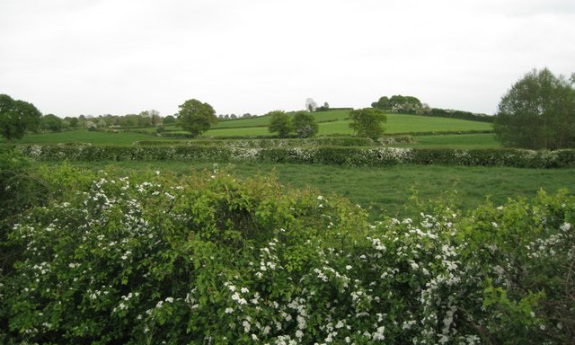 Knoll south of Preston Bagot © Robin Stott cc-by-sa/2.0 :: Geograph ...