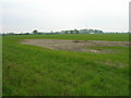 Farmland off Thief Lane