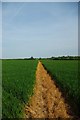 Footpath to Horndon