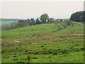 Rough pastures around Farmal Sike