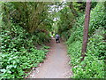 Descending Strawberry Lane towards the Avon, Bristol