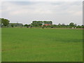 Farmland off Hillam Common Lane