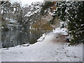 Snowy day at Coy Pond