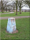 TQ3775 : Trig point, Hilly Fields Park by Derek Harper