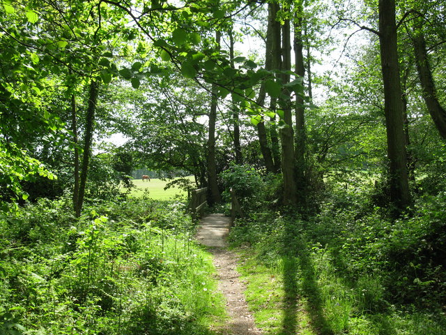 Dappled Surrey countryside © don cload cc-by-sa/2.0 :: Geograph Britain ...