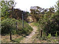 Footpath onto Martlesham Heath