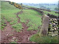 Footpath below Sheen Hill