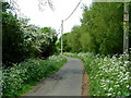 ST5478 : Cycle Route 41 on Lawrence Weston Road by Anthony O'Neil