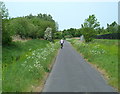 ST5379 : Lawrence Weston Road near  Poplar Farm by Anthony O'Neil