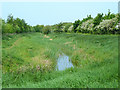 Rhine alongside the railway near Hallen Marsh