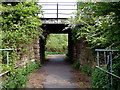 Bridge below the elevated railway across Hallen Marsh