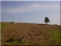 Clee Hill Common