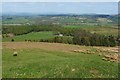 North-eastern slopes of Meikle Caldon Hill