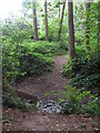 Path crossing the Chaffinch Brook, Monks Orchard