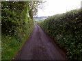 Little Shropshire Lane