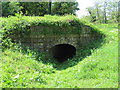 Entrance to a small tunnel beneath the embankment of the Dorset and Somerset Canal