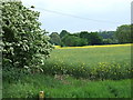 Footpath, near Henbury Farm, Sturminster Marshall