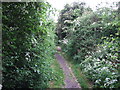 Footpath, Sturminster Marshall