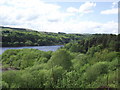 Wayoh reservoir from Edgworth Quarry