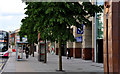 J3374 : Donegall Place, Belfast (20) by Albert Bridge